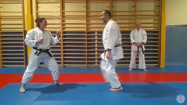 SEITE & HENTE WAZA - SPEED REACTION - HEIAN SHODAN KATA KUMITE ? Karate Online Training #34