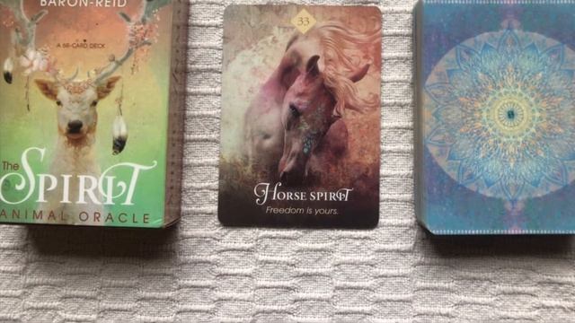 The Spirit Animal Oracle 33/68 Horse Spirit guide book audio description смотреть онлайн