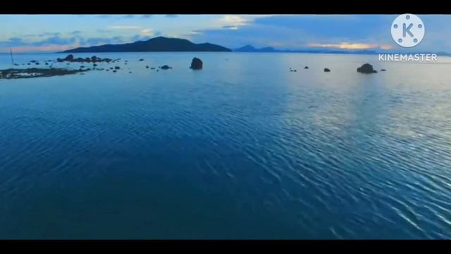 Titanic song flute cover by It's Ahana смотреть онлайн