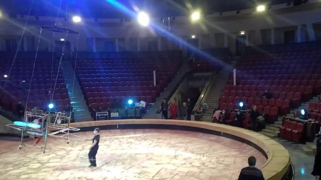 В отреставрированный саратовский цирк прибыл белый носорог смотреть онлайн