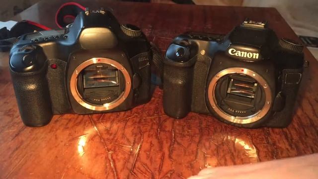 Canon 5d classic vs Canon 40d shutter speed смотреть онлайн