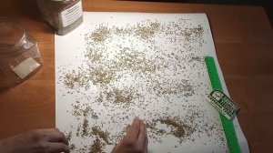 Норма высева газонной травы