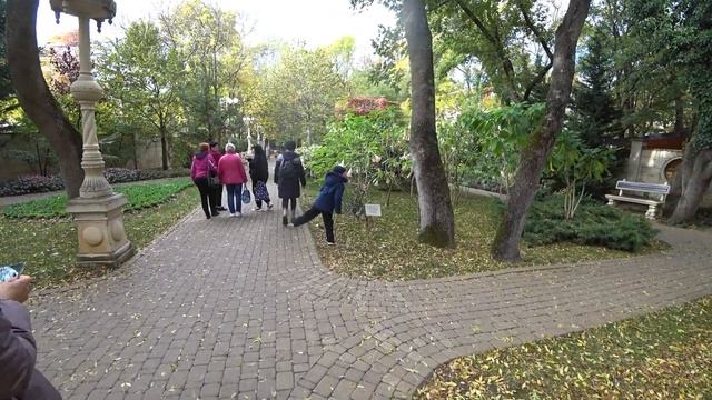 Старый парк в Кабардинке. Ноябрь 2022 смотреть онлайн