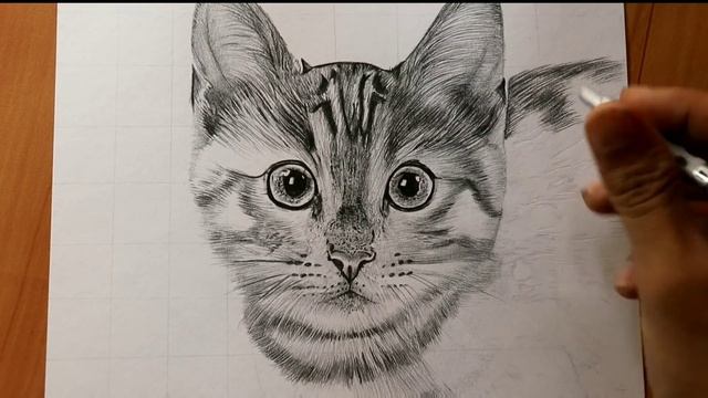 Drawing Cat with Pencils ? смотреть онлайн