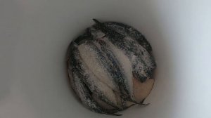 Рыба холодного копчения.Холодное копчение скумбрии,селедки и камбалы .