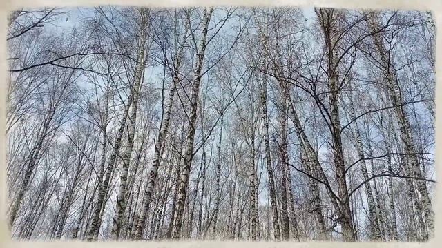 Путевые заметки//Осенние зарисовки