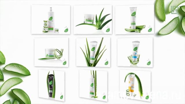 Алоэ Вера от LR смотреть онлайн