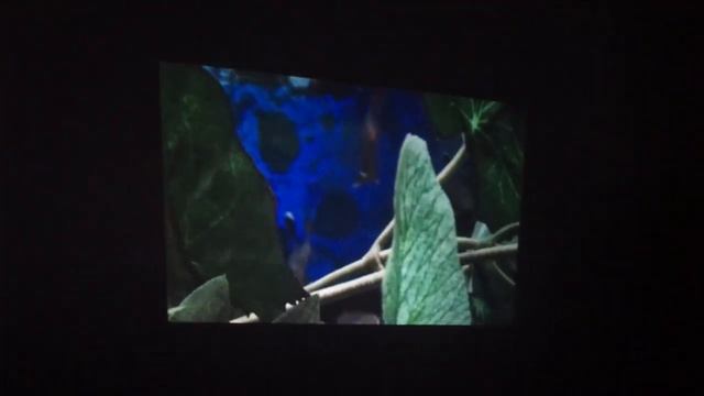 SONY PJ330 camcorder projector смотреть онлайн