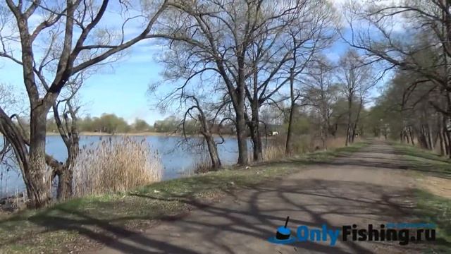 Теряево (Новая Рига). Ловля карася. смотреть онлайн