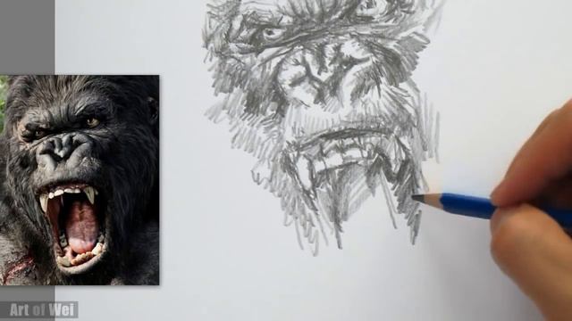 How to Draw King Kong with Pencil Step by Step смотреть онлайн