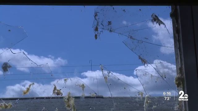 Alternatives for tropical storm Ida damage relief смотреть онлайн