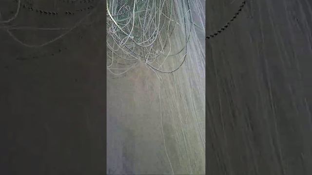 Сеть для ловли карпа. смотреть онлайн