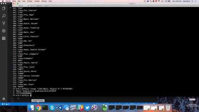 An Introduction to Geospatial Data in Redis Through Urban Forestry смотреть онлайн