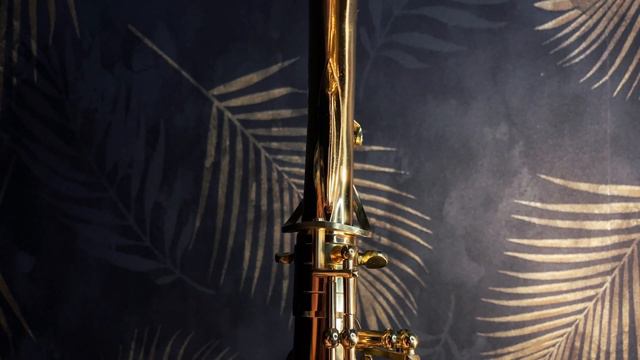 #1 КАК СОБРАТЬ САКСОФОН? + ЛАЙФХАК смотреть онлайн