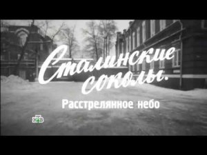 «Сталинские соколы. Расстрелянное небо». Фильм Владимира Чернышёва из цикла «НТВ-видение»