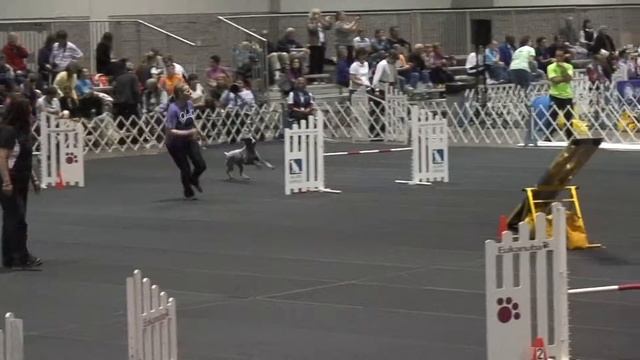 Java Time 2 Beat Q смотреть онлайн