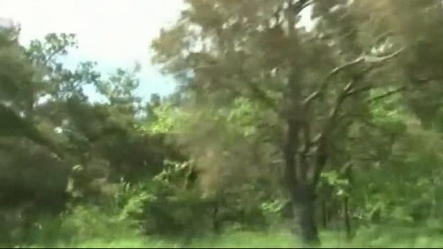 История станицы Кагальницкой смотреть онлайн