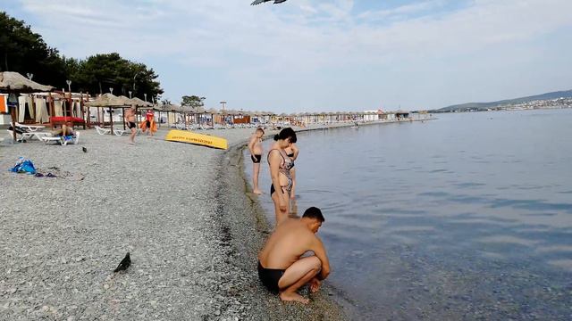 ГЕЛЕНДЖИК... Купаться или нет?... Вот в чем вопрос... 10 июля 2018... смотреть онлайн