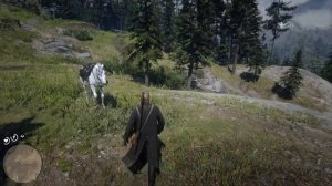 RDR 2 - Карта сокровищ «Большие надежды» часть 1