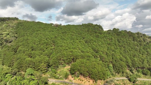 flying a copter in the jungle Un20