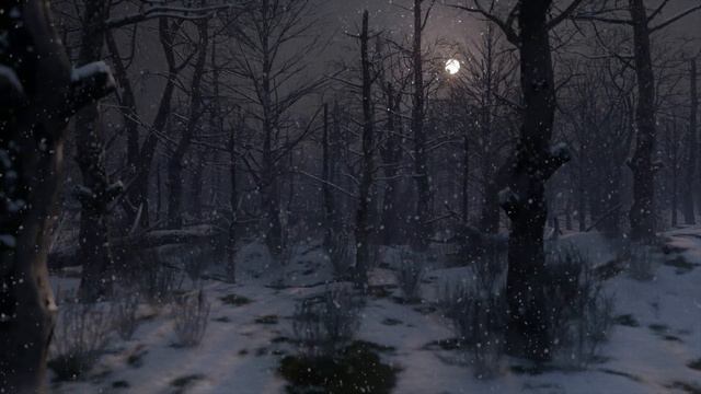 Winter Forest Ambience : Snowy Winter Nights Forest Sound 8 Hours | Owl, Crow Sounds