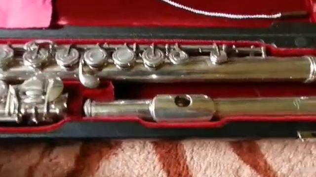 fLAUTA DEMOSTRAÇÃO смотреть онлайн