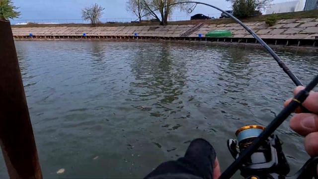 #217 Форель по холодку РК "Русский осётр" 7 октября 2023 смотреть онлайн