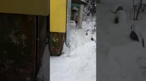 закаливание перезалив #снег #закаливание #дети