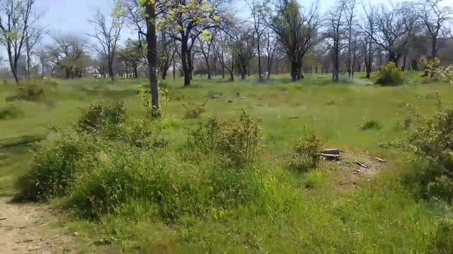 1 мая 2017,в парке Учкуевка смотреть онлайн