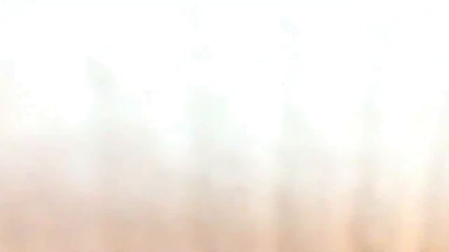 Домовенок Ремонтович