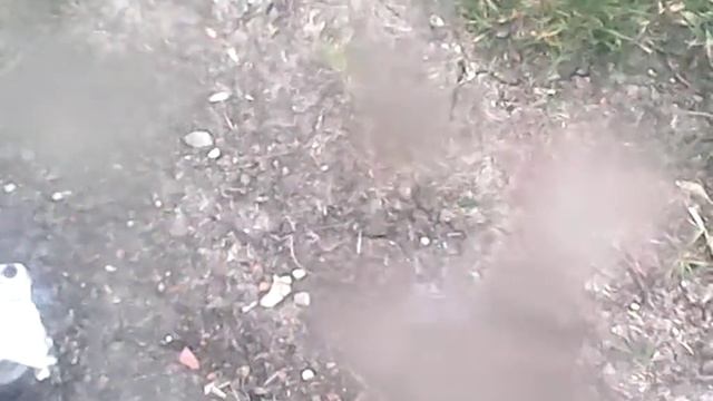 balade ycf 125 f125, dirt orion 125, ycf 125 смотреть онлайн