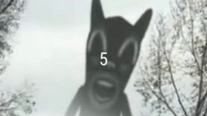 топ 5 картун кэт снятый на камеру