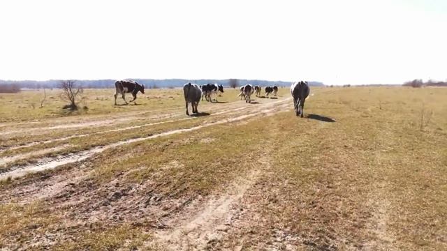 ЧЕМ НАКРЫЛИСЬ НАШИ ПЛАНЫ И ДЕЛА???!НУЖЕН СОВЕТ! смотреть онлайн