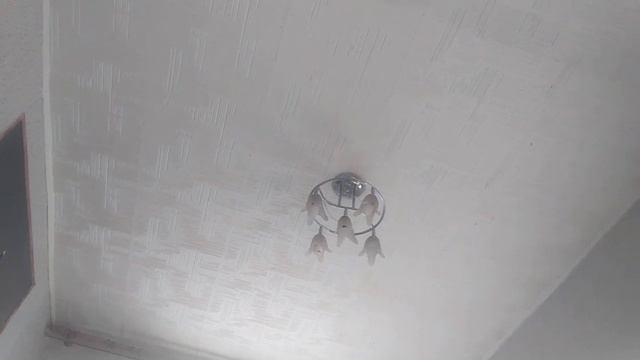 наш самый лучший день наступил где вы и мы будем празновать🤭🤭🤭🤭 смотреть онлайн