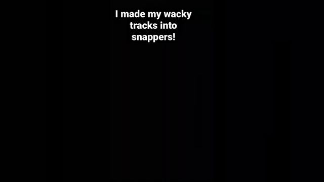 Turning my wacky tracks into snappers! #shorts #fidget #snapper #wackytrack #hacks смотреть онлайн
