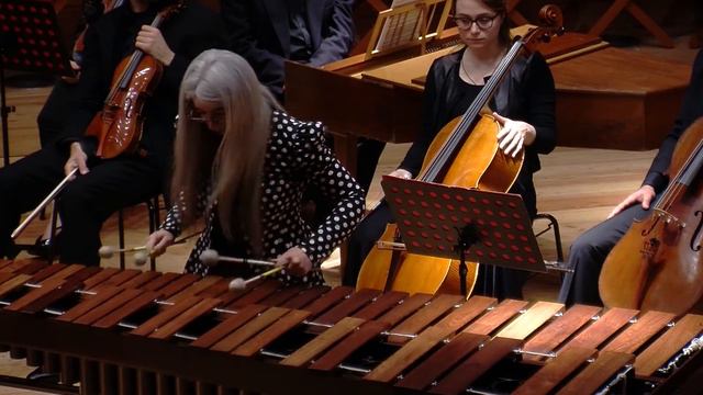 Evelyn Glennie - Improvvisazione - I Solisti Aquilani смотреть онлайн