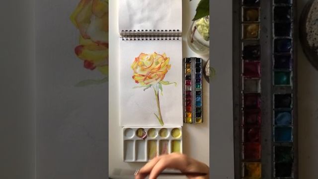 Роза 86/100 смотреть онлайн