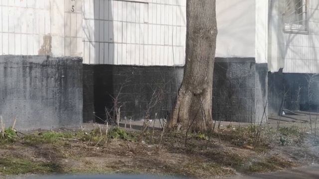 Охота на мух! смотреть онлайн