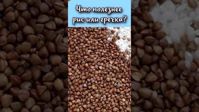 Что полезнее рис или гречка? #shorts смотреть онлайн