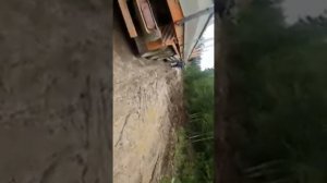 Пеледуй Витим 2018 год июль