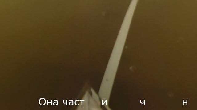 Дно Невы не было дном еще недавно. Санкт-Петербург. смотреть онлайн