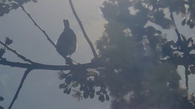 Краски весны смотреть онлайн