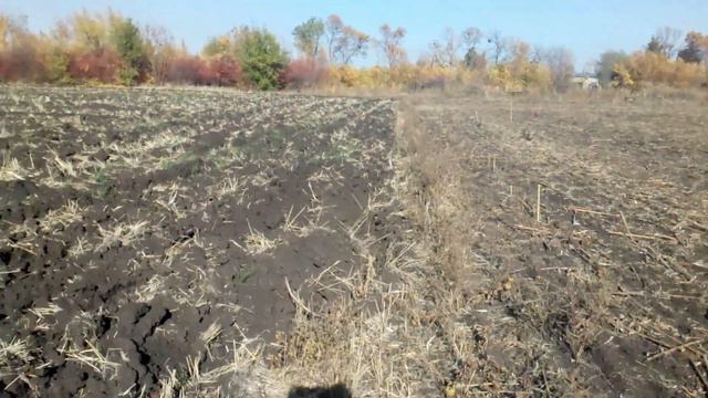 Не дай залезть на свою землю! Рынок земли хорошо ли? смотреть онлайн