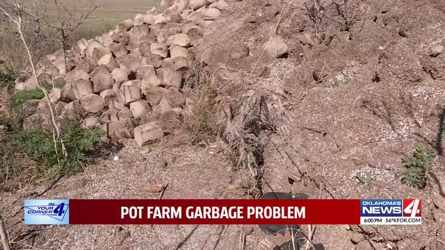 Pot farm garbage problem смотреть онлайн