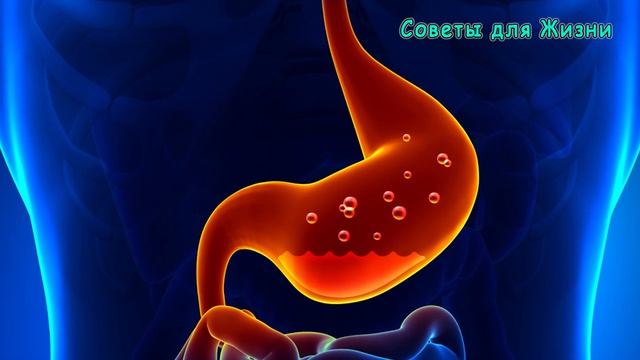 ✔ Зачем Надо Жевать Сушеную Гвоздику ? Эффект Очень Удивляет .. смотреть онлайн