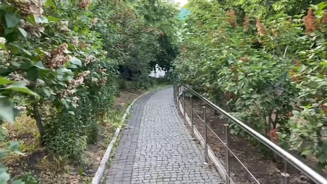 ЖИВАЯ ЛАВРА #9, прп. Ефросинья, игуменья Полоцкая смотреть онлайн