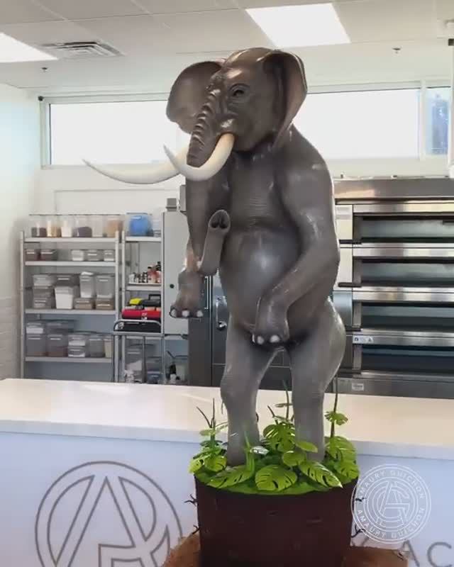 (3) The Elephant! (@AmauryGuichonChef)