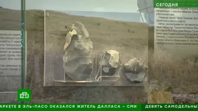 Российские ученые нашли череп древнего единорога смотреть онлайн