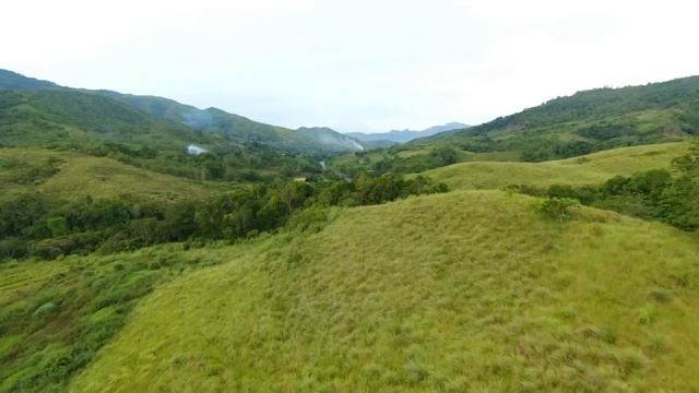 [Story 84] Freshwater pearl mussel and ternate tea for early dinner | Filipino Countryside Life смотреть онлайн