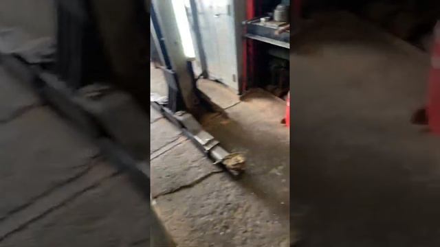 Тойота Ярис 2009 года. Замена прокладки клапанной крышки. смотреть онлайн